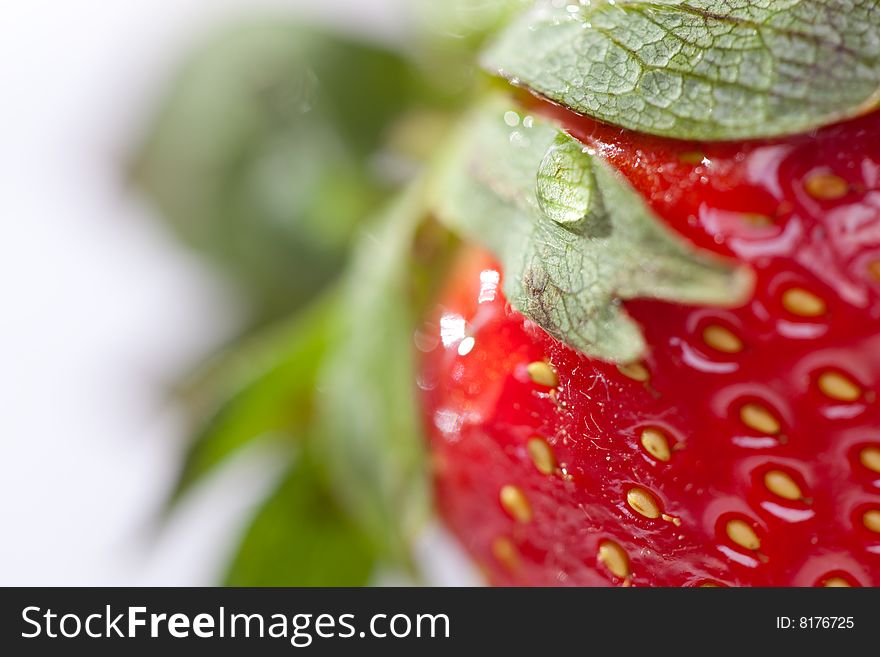 Macro of Fresh Strawberry and Water Drop. Macro of Fresh Strawberry and Water Drop.