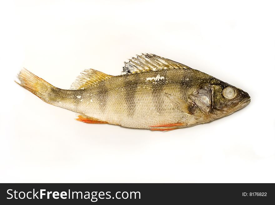 Dried perch isolated on white background. Dried perch isolated on white background