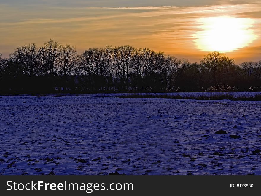A snowy field with trees in the back during sunset in winter. A snowy field with trees in the back during sunset in winter