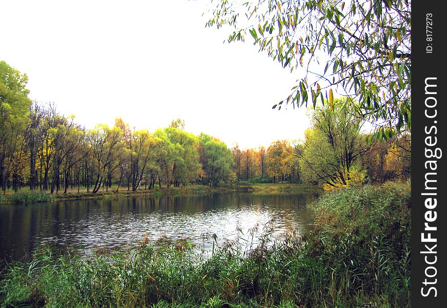 This pound in autumn park is glittering and reflacting all around: bright leavs, cold skies and the neglaction of the place. This pound in autumn park is glittering and reflacting all around: bright leavs, cold skies and the neglaction of the place