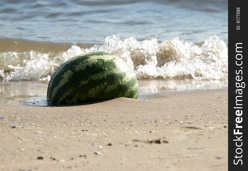 Watermelon in song ashore epidemic deathes. Watermelon in song ashore epidemic deathes