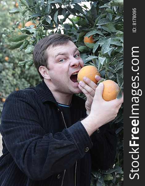 A hungry man in a orange orchard