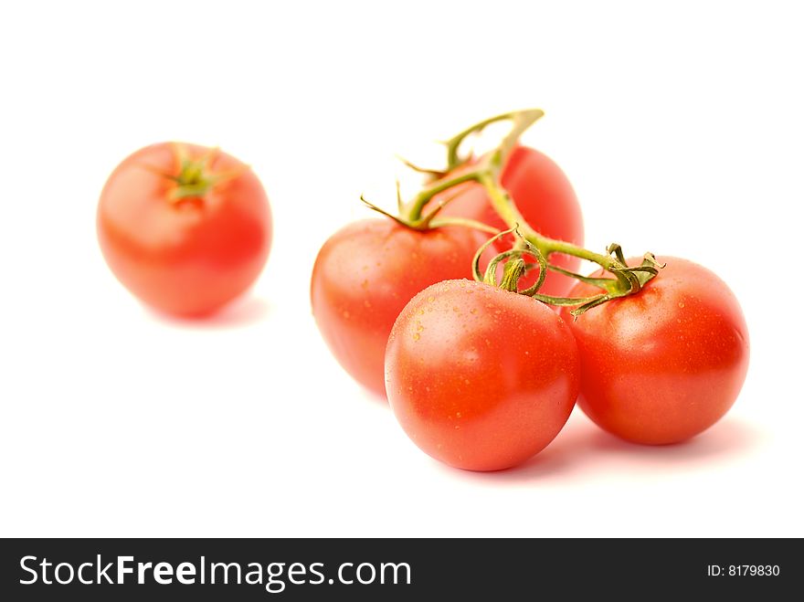 Tomatoes on the vine with one single tomato isolated on white