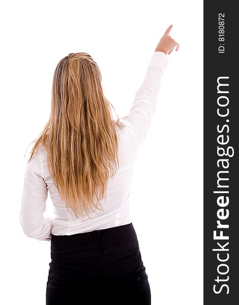 Back pose of pointing businesswoman against white background