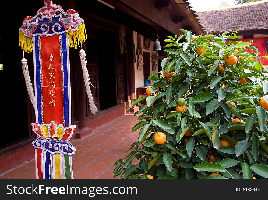 Orange Tree And Religious Pennant At Temple