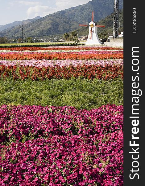 Flowers And Windmill