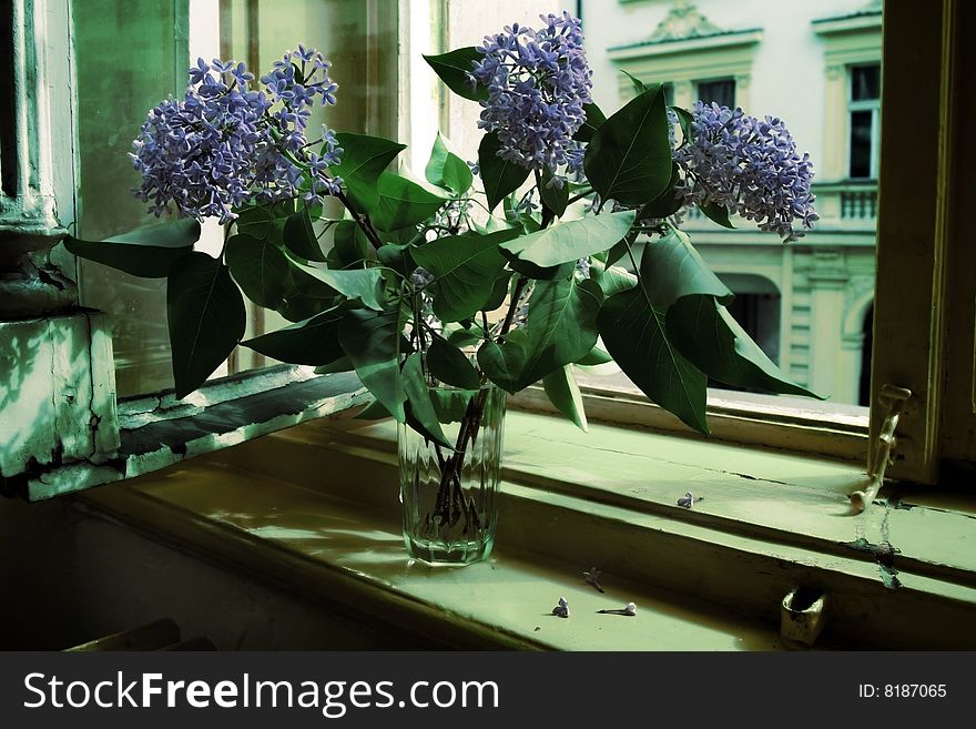 Lilacs In Glass