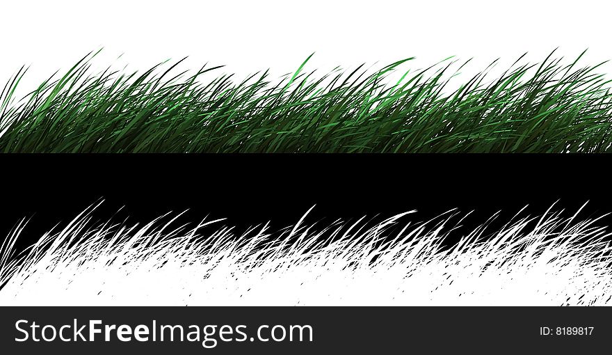 Green and clear spring grass isolated on white. Green and clear spring grass isolated on white