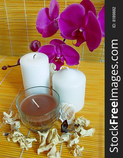 Orchids, candles and shells, spa concept. Orchids, candles and shells, spa concept