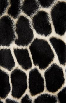 Free Colour Material Stock Photos - 8191333