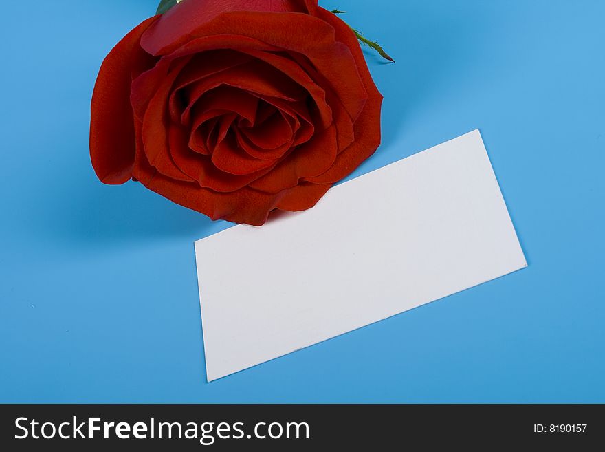 Note and red rose isolated blue. Note and red rose isolated blue