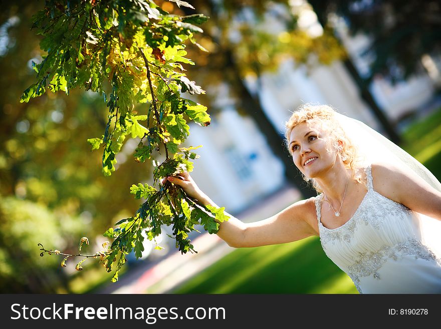 A bride and oak tree. A bride and oak tree