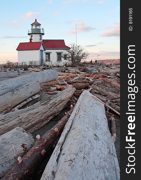 Lighthouse With Driftwood