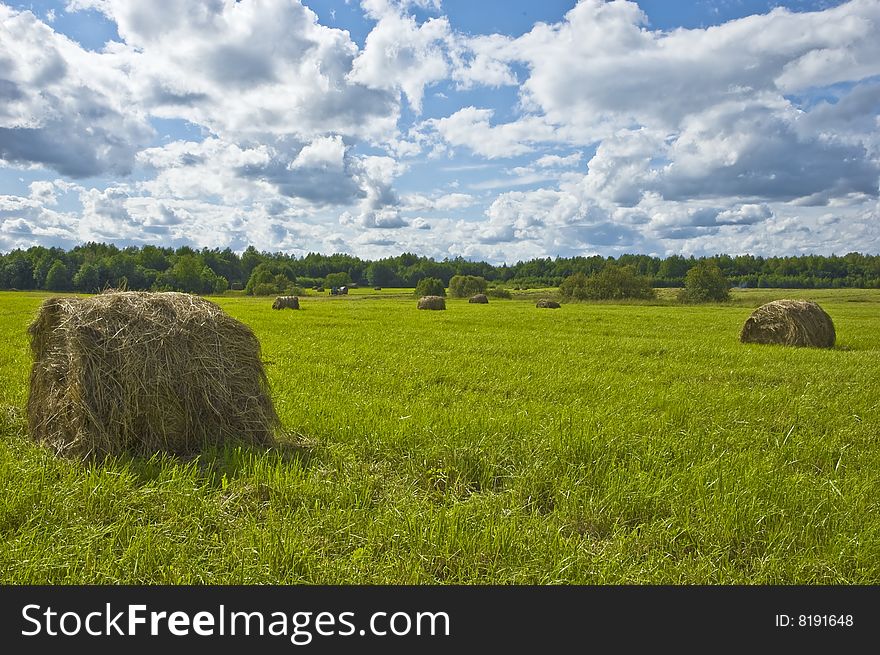 Haystack in the field