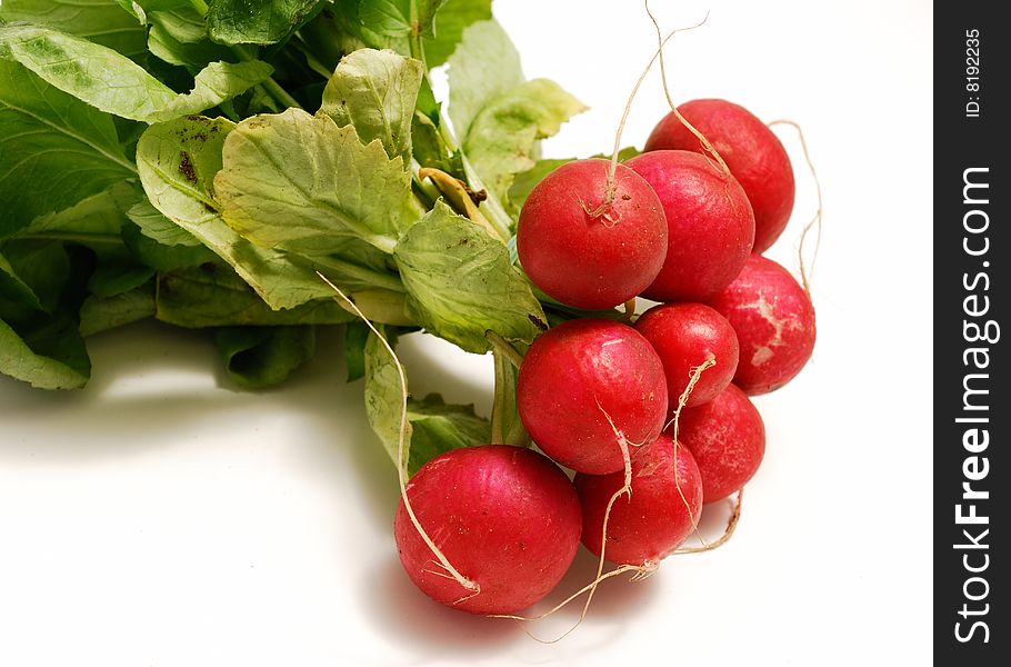 A bunch of fresh radishes on white with soft shadow.