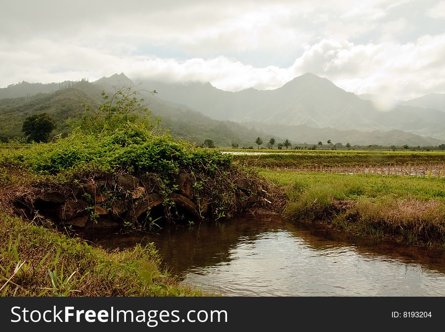 Small Bridge Over Irrigation Ditch