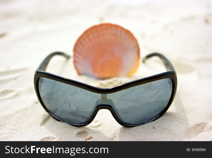 Still life picture with sunglasses and shell on the sandy beach. Still life picture with sunglasses and shell on the sandy beach