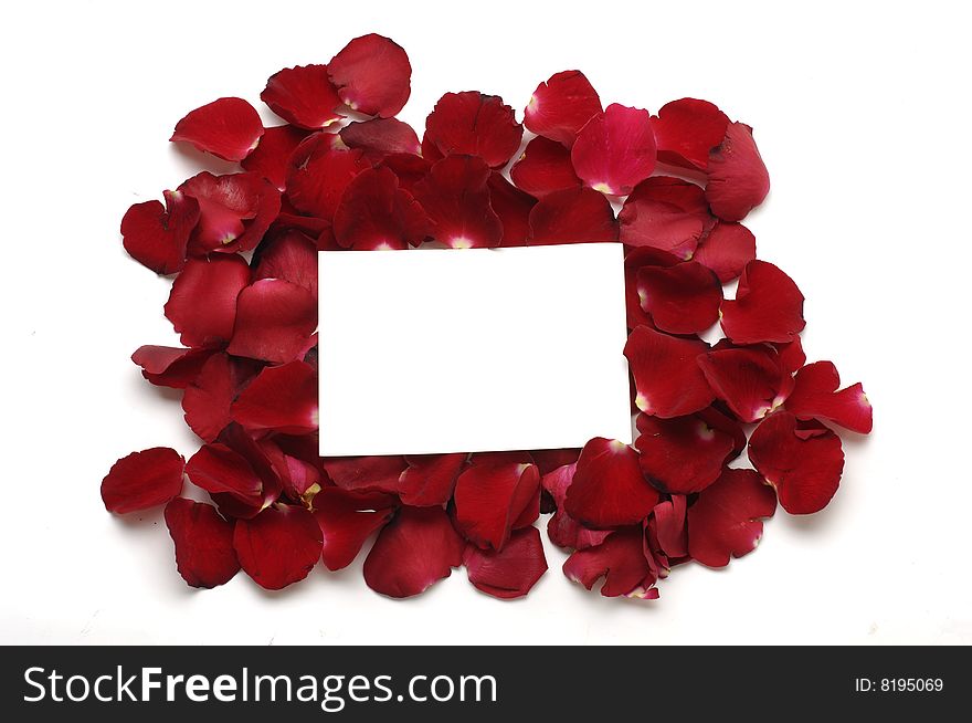 Rose petals and blank card for your text. Rose petals and blank card for your text