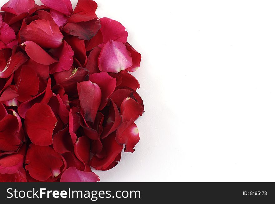 Isolated half cycle rose petals