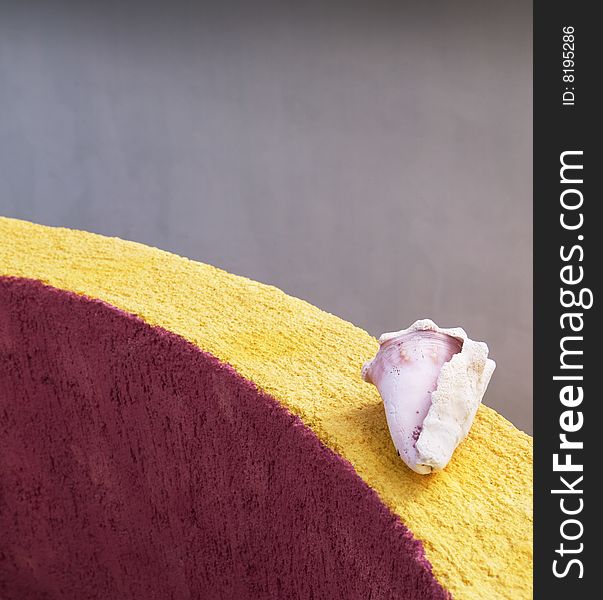 A pink and white conch shell sits on a yellow and magenta wall in the Gulf of Mexico. A pink and white conch shell sits on a yellow and magenta wall in the Gulf of Mexico.