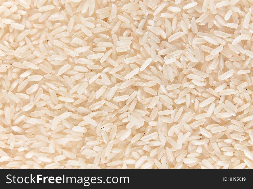 Background of a white rice. Background of a white rice