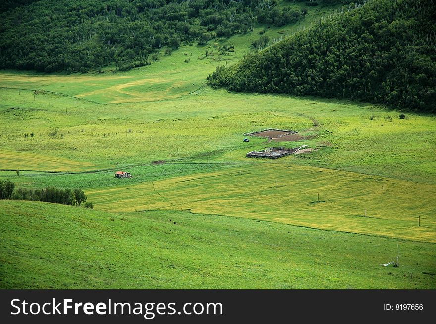 Grassland beautiful under the blue sky and white cloud