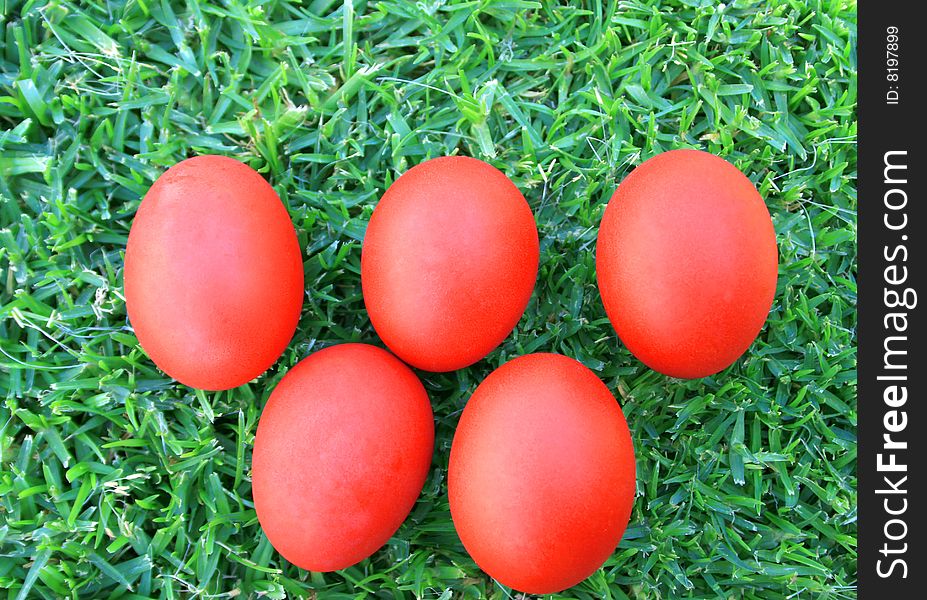 Easter red eggs on the grass.