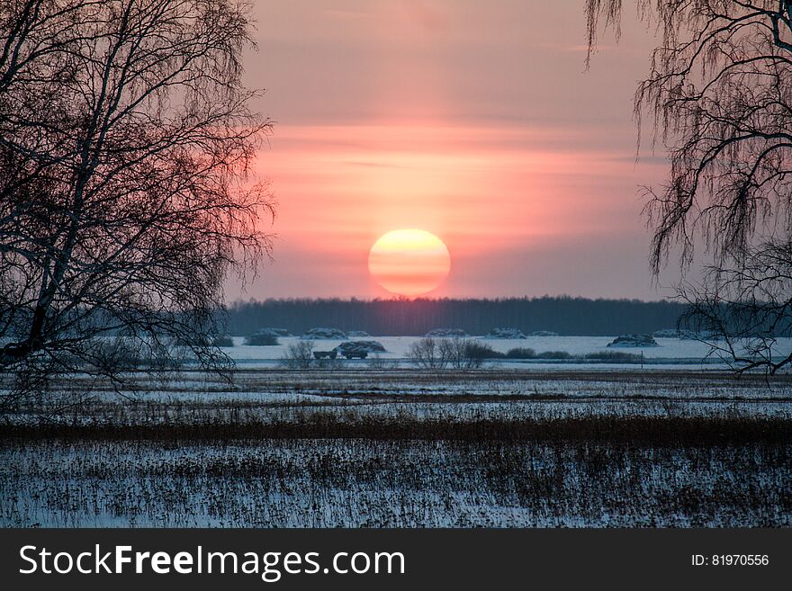 Sunset in the winter on a field in the countryside. Sunset in the winter on a field in the countryside