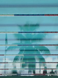 Palm Tree Reflection, Puerto Rico, Caribbean Stock Photo Palm Tree Reflection, Puerto Rico, Caribbean Stock Photo