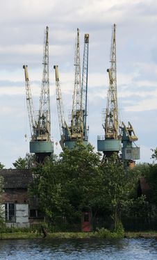 Cranes Royalty Free Stock Photo