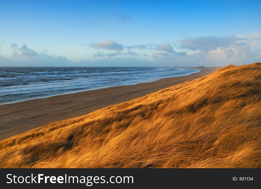 Dunes on a beach in the netherlands. Dunes on a beach in the netherlands