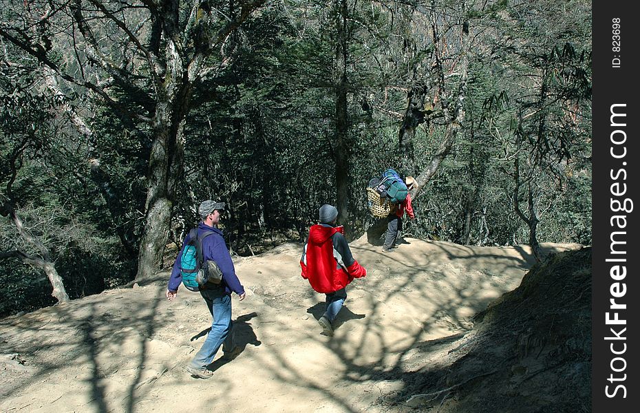 Porter and trekkers