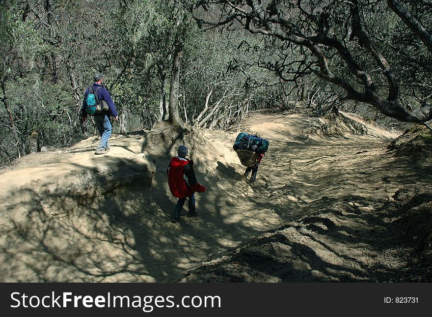 Trekkers and porter