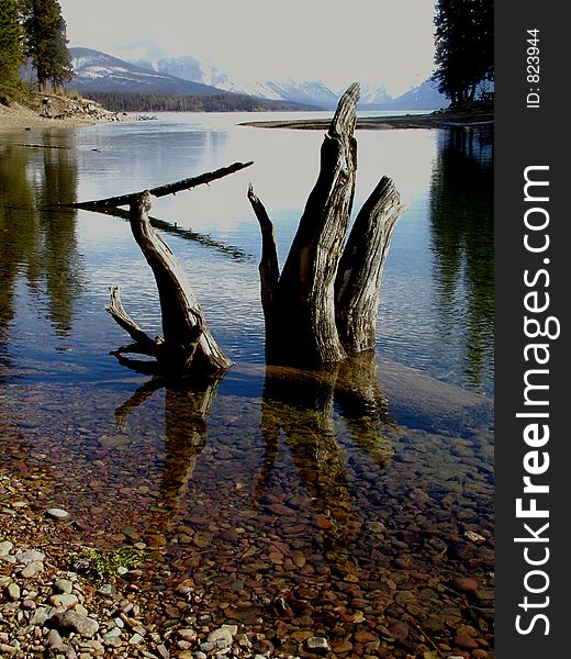 This picture of the natural log statue was taken near Apgar in western MT. This picture of the natural log statue was taken near Apgar in western MT.