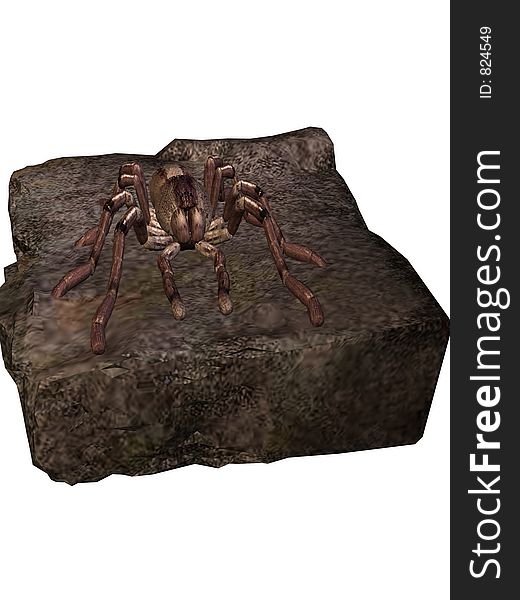 A 3D tarantula on a rock. A 3D tarantula on a rock