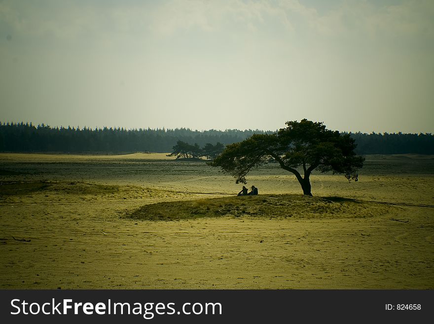 People on an island of sand