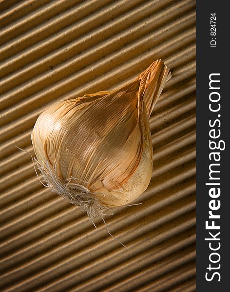 Garlic Bulb On Textured Background