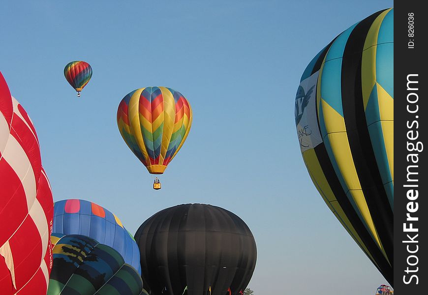 Hot Air Balloons In Flight