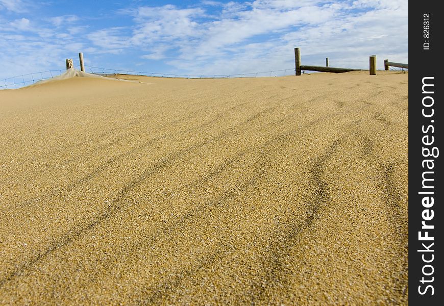 The top of a wind blown sand hill. The top of a wind blown sand hill.