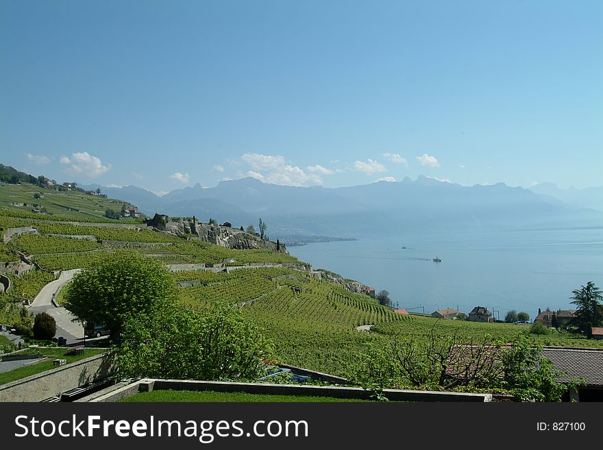 This is the Lake Leman in Switserland,
in the forground you can see a vineyard. This is the Lake Leman in Switserland,
in the forground you can see a vineyard.