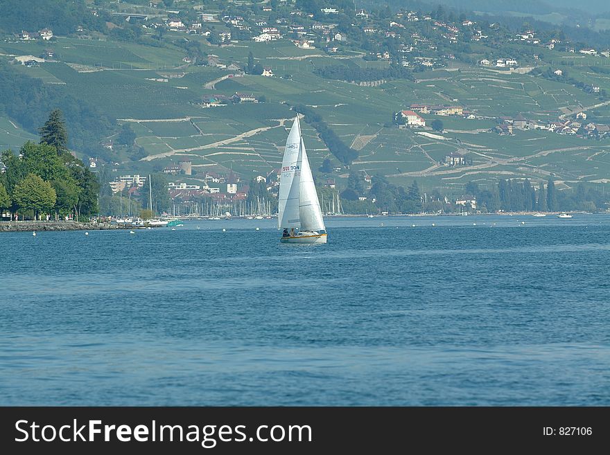 A sailing boat in front of the vineyards on the lake of Geneve in Switserland. A sailing boat in front of the vineyards on the lake of Geneve in Switserland.
