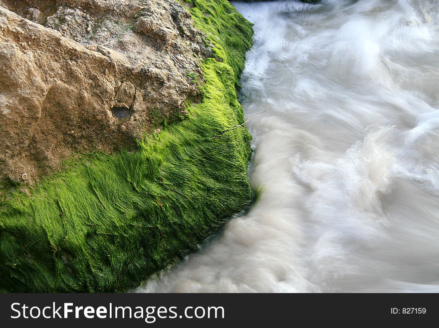 Some mossy limestone rocks, with the Indian Ocean lapping up against it. Some mossy limestone rocks, with the Indian Ocean lapping up against it.