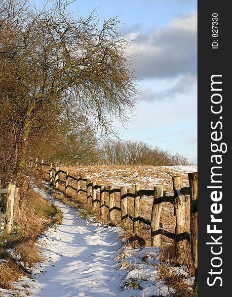 A path in the sun in  winter in denmark. A path in the sun in  winter in denmark