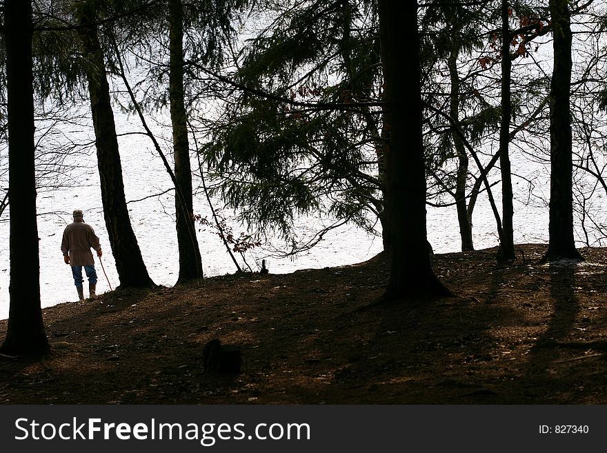 A forest in winter in denmark silouette of a man against the snow. A forest in winter in denmark silouette of a man against the snow