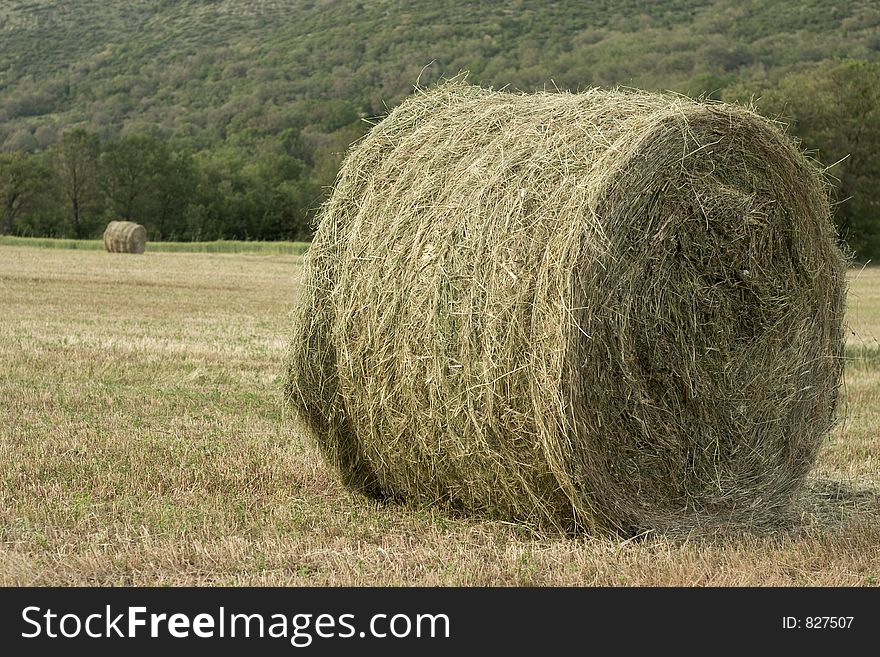 Two rolls of hay. Two rolls of hay