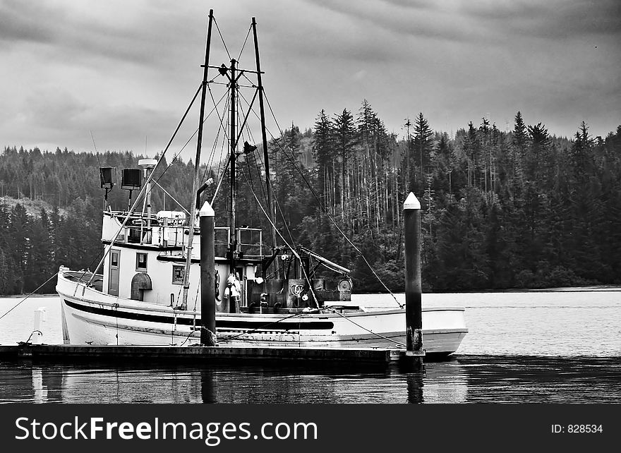 Fishing Boat in Harbor
