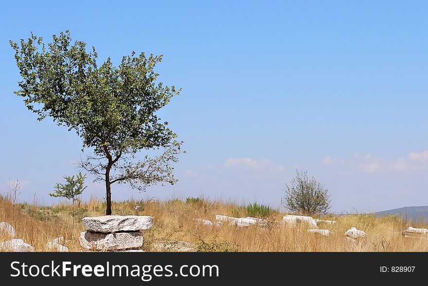 Image of Ephesus , the biggest city of its time