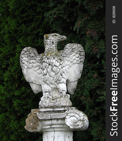 Stone eagle old monument background trees (pine)
