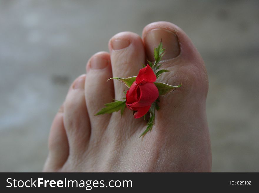 Stop to feel the rose petals under your feet. Stop to feel the rose petals under your feet