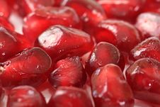 Pomegranate. Stock Image